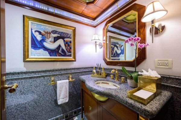 2001 Delta Marine STARSHIP2 FOR SALE - Image 14