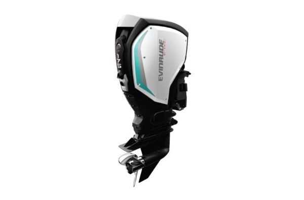 2019 Evinrude 175HP C175FX For Sale - 25 in. Shaft