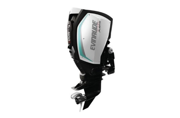 2019 Evinrude 200 HO H200AXH For Sale - 25 in. Shaft