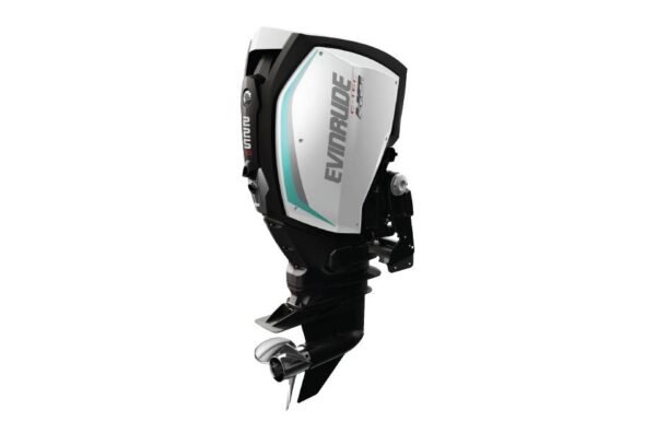 2019 Evinrude 225 HO H225LH For Sale - 20 in. Shaft