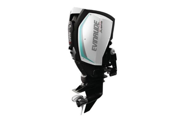 2019 Evinrude 250 HO H250LHO For Sale - 20 in. Shaft