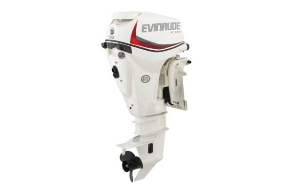 2019 Evinrude 25HP E25DRS For Sale - 15 in. Shaft