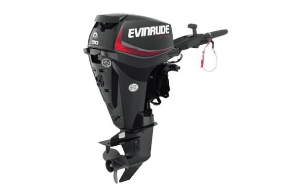 2019 Evinrude 30HP E30DGTL For Sale - 20 in. Shaft
