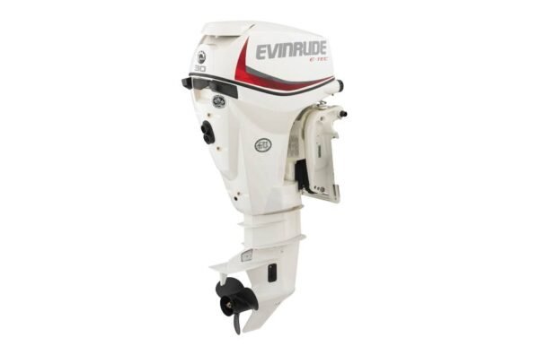 2019 Evinrude 30HP E30DPSL For Sale - 20 in. Shaft