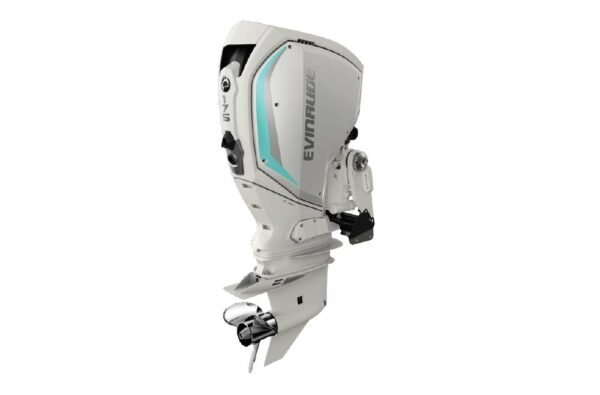 2020 Evinrude 175HP C175WLF For Sale - 20 in. Shaft