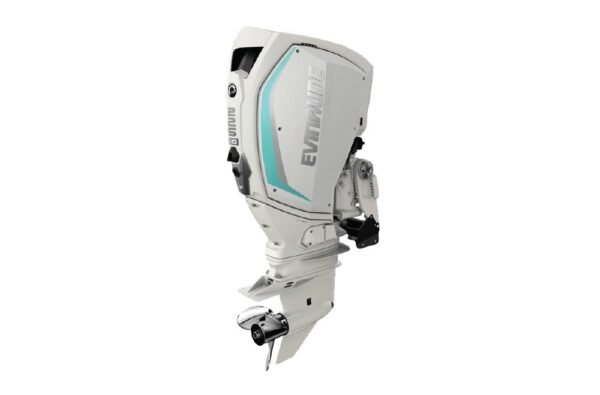 2020 Evinrude 225 HO H225HWXF For Sale - 25 in. Shaft