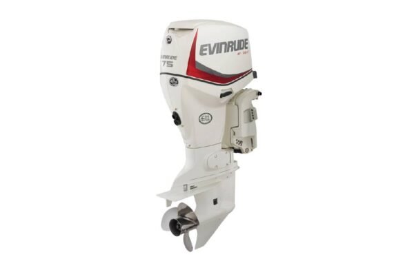 2020 Evinrude 75HP E75DSL For Sale - 20 in. Shaft