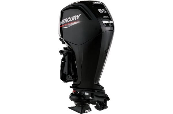 2021 Mercury Jet 65HP EFI For Sale