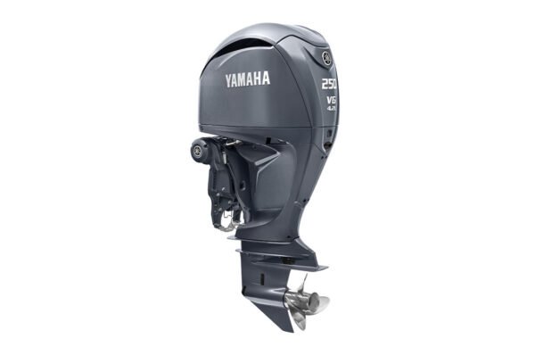 2022 Yamaha F250UCB For Sale