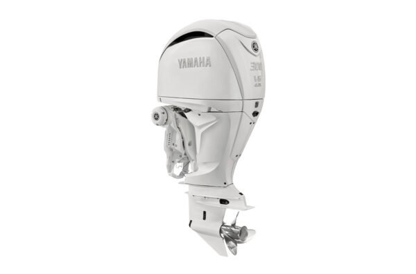 2022 Yamaha F300ECB2 For Sale