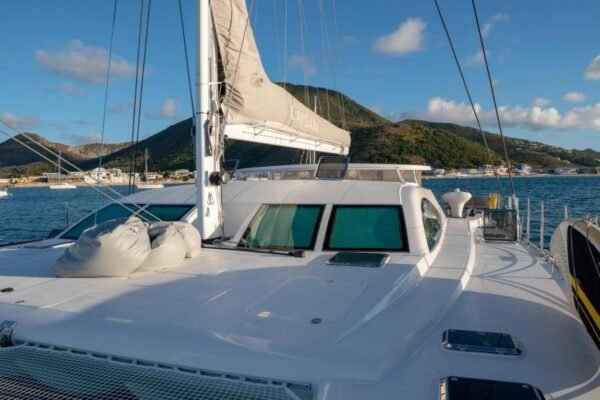Dixon Custom Laysan - Image 19