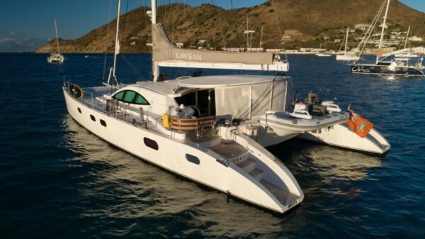 Dixon Custom Laysan - Image 5