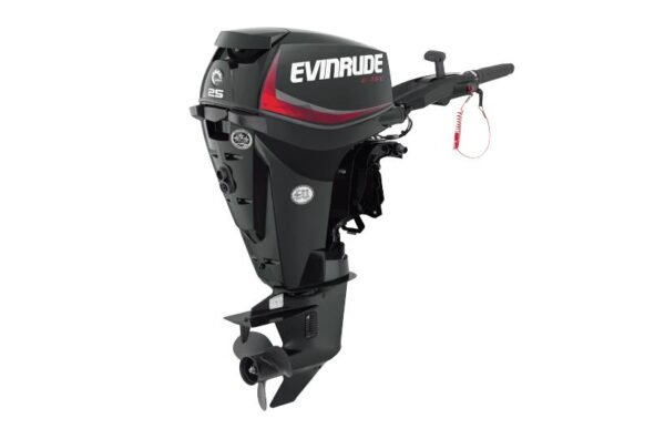 2019 Evinrude 25HP E25DRG For Sale - 15 in. Shaft